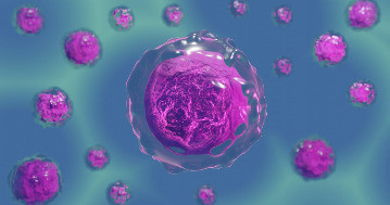 Ez a két vírus lehet a következő közegészségügyi fenyegetés