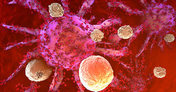 Megsemmisítik magukat az immunsejtek, hogy megállítsák egy parazita terjedését